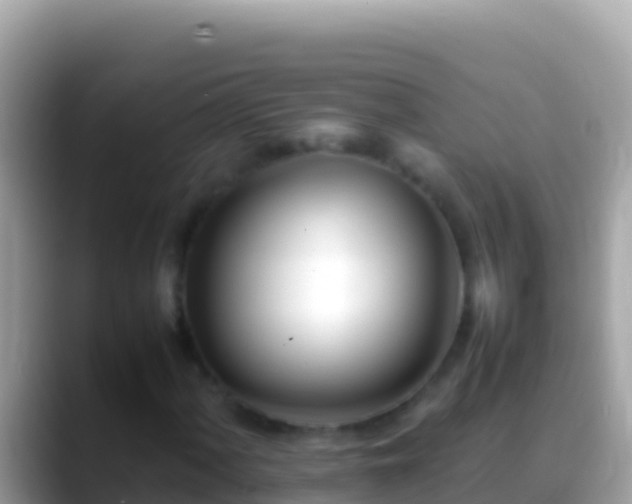 X0000088661060200706011235