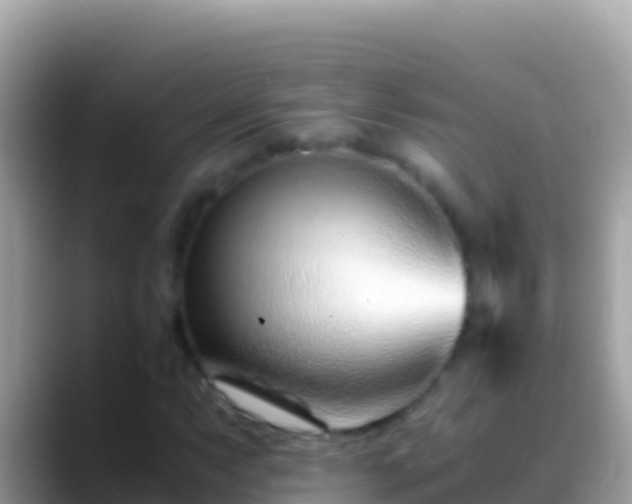 X0000088661063200706011235