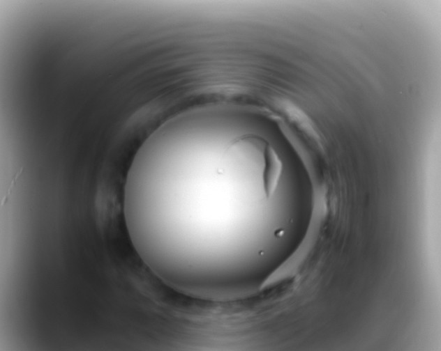 X0000088661064200706011235