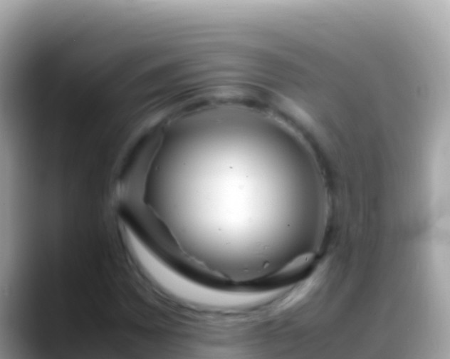 X0000088661065200706011235