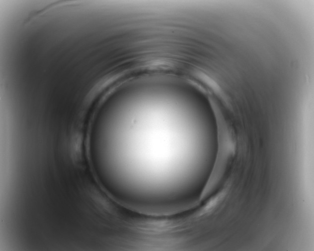 X0000088661066200706011235