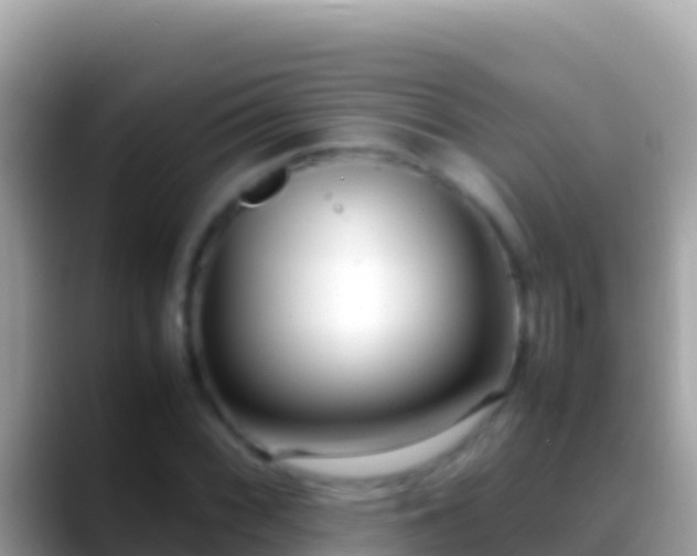 X0000088661068200706011235