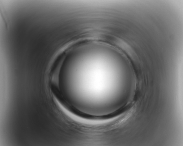 X0000088661069200706011235