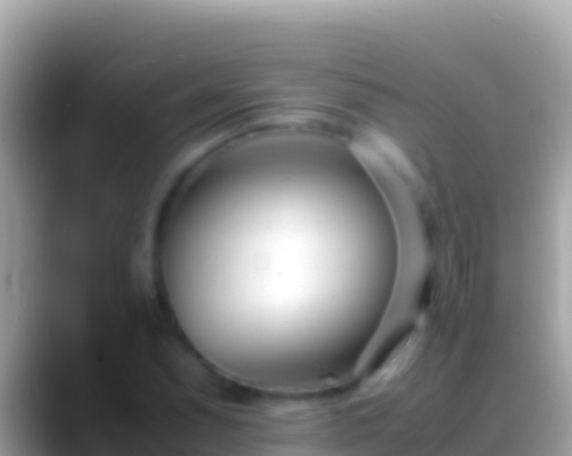 X0000088661071200706011235