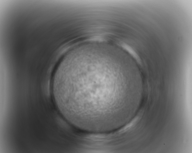 X0000088661075200706011235