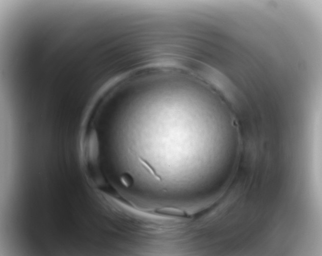 X0000088661076200706011235