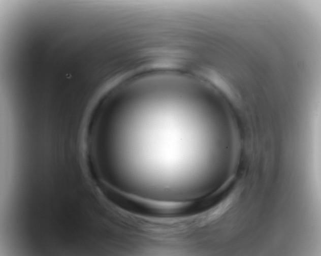 X0000088661077200706011235