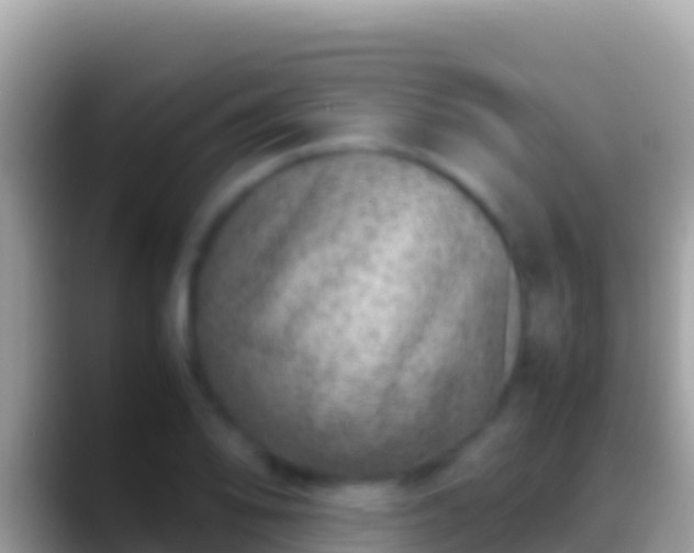 X0000088661078200706011235