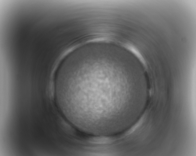 X0000088661079200706011235