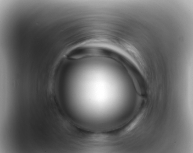 X0000088661081200706011235