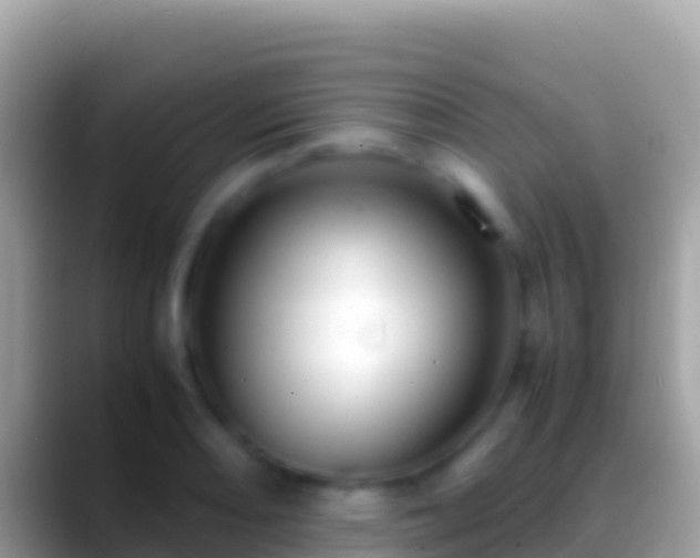 X0000088661082200706011235