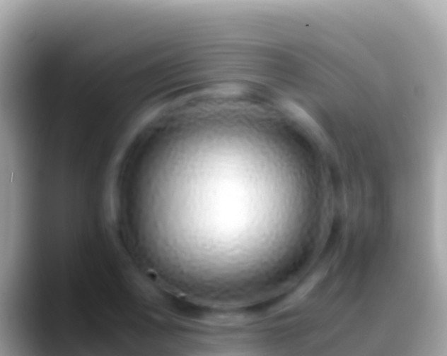 X0000088661083200706011235