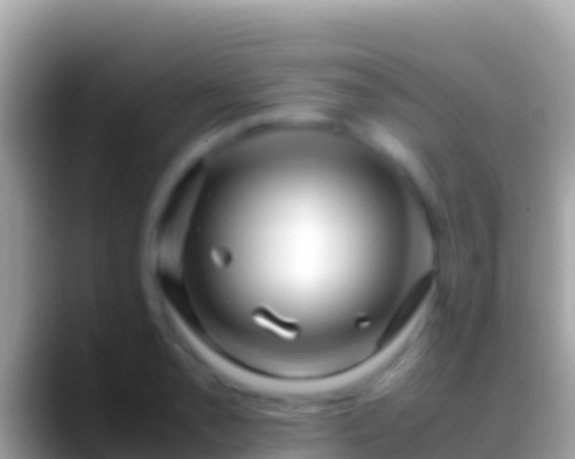 X0000088661085200706011235