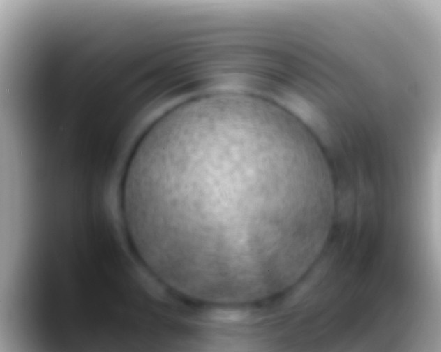 X0000088661086200706011235