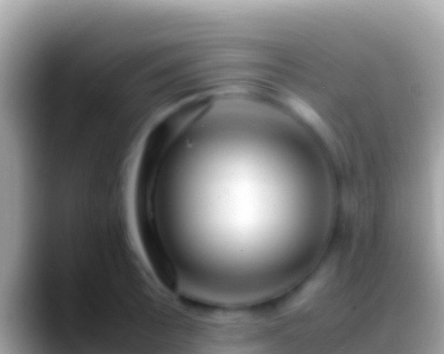 X0000088661089200706011235