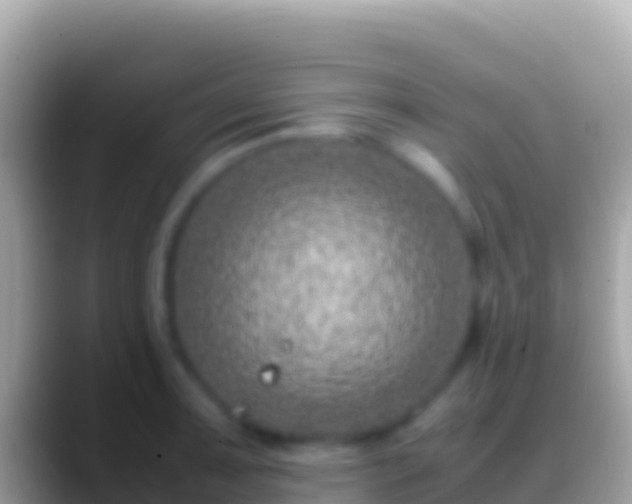 X0000088661091200706011235