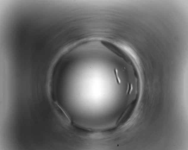 X0000088661093200706011235