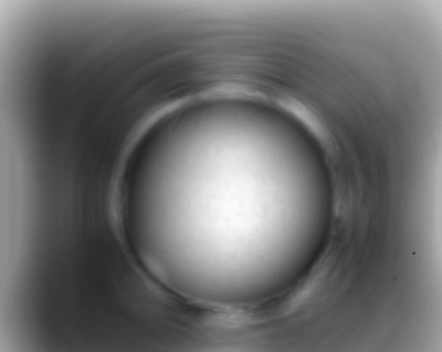 X0000088661094200706011235