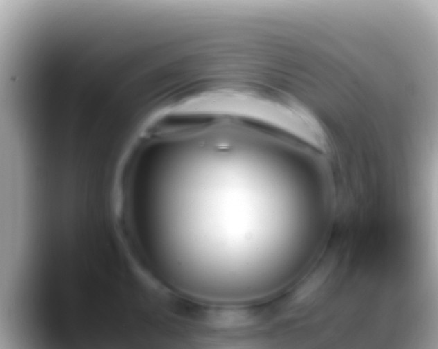 X0000088661095200706011235