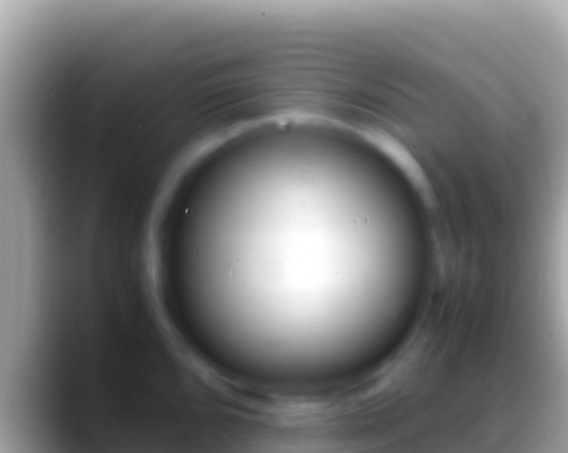 X0000088661096200706011235