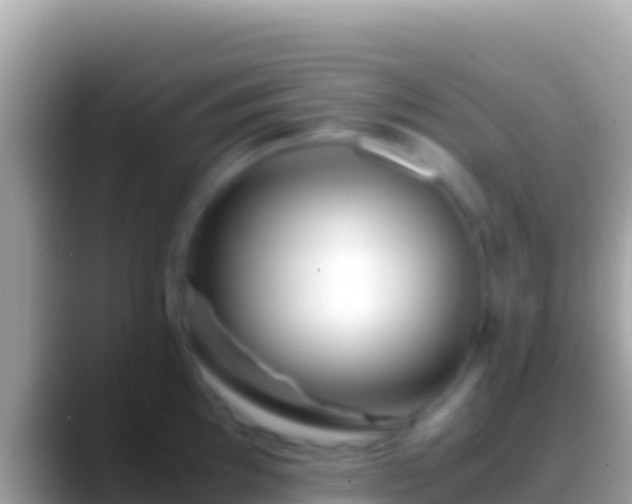 X0000088661097200706011235