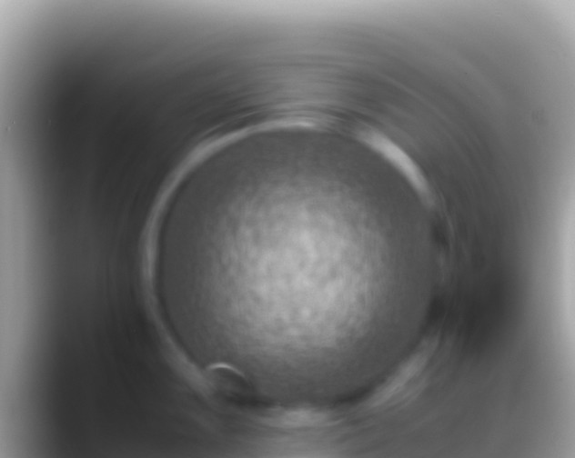 X0000088661099200706011235