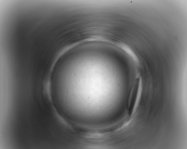 X0000088661100200706011235