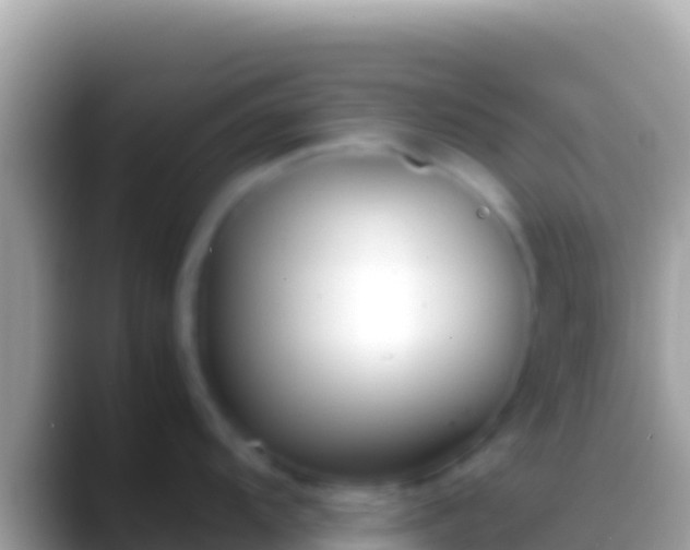 X0000088661104200706011235