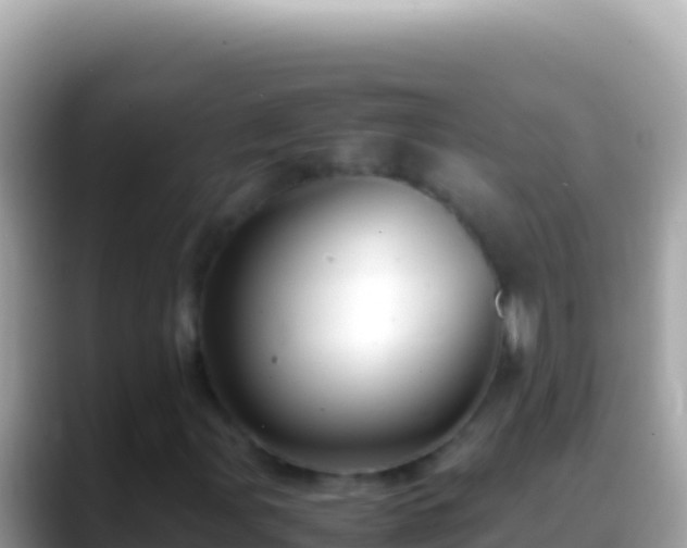 X0000088661107200706011234