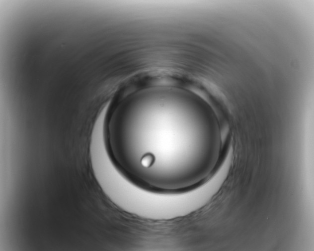 X0000088661110200706011234