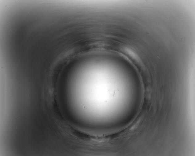 X0000088661111200706011234