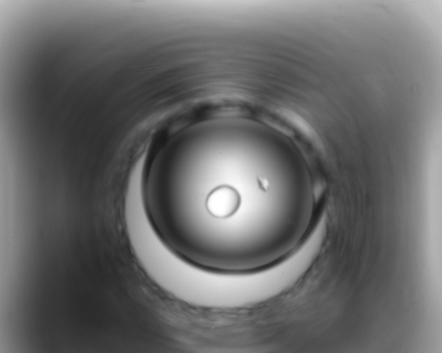 X0000088661112200706011234