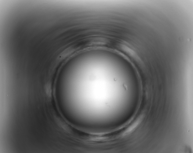 X0000088661113200706011234