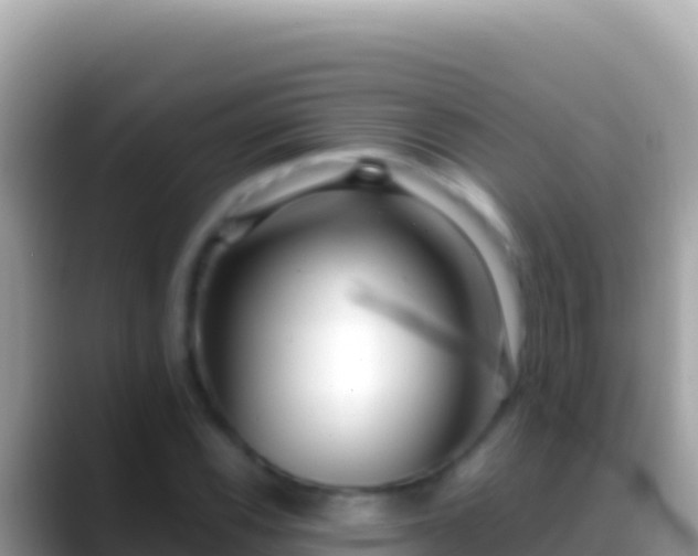 X0000088661116200706011235