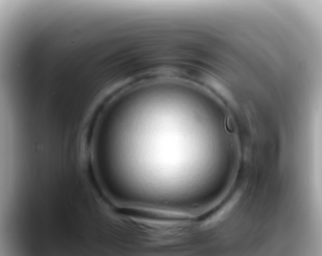 X0000088661117200706011235