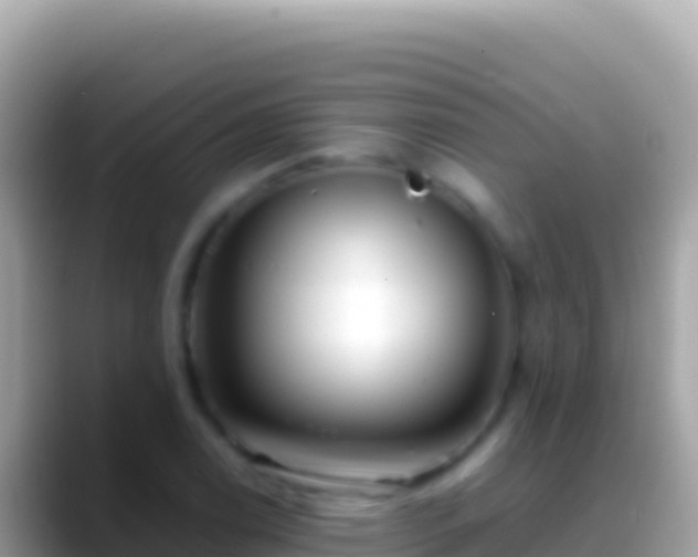 X0000088661122200706011235