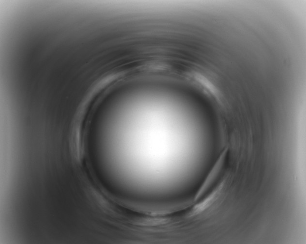 X0000088661123200706011235