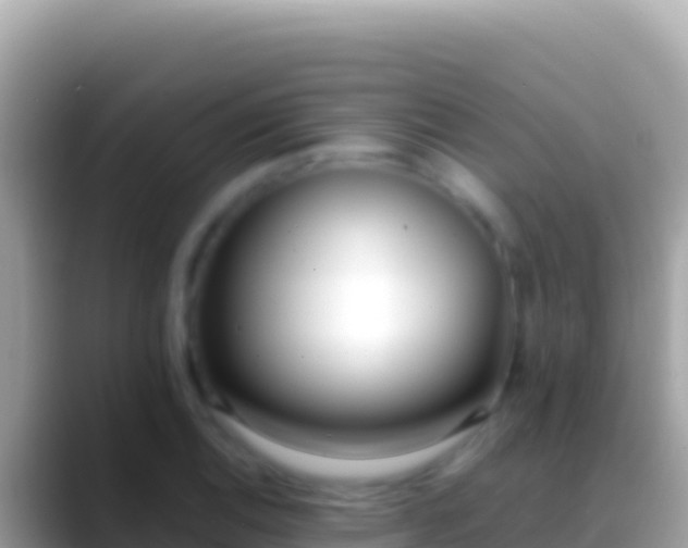 X0000088661124200706011235