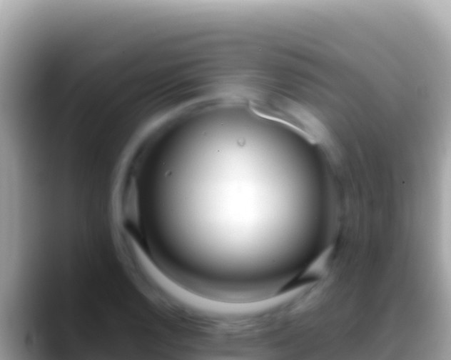 X0000088661128200706011235