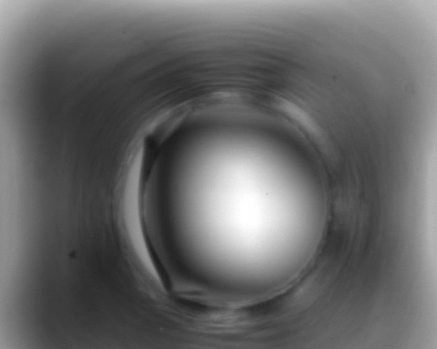 X0000088661129200706011235