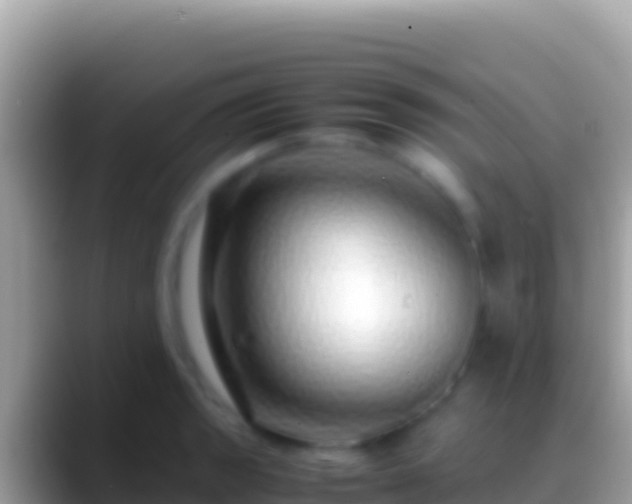 X0000088661133200706011235