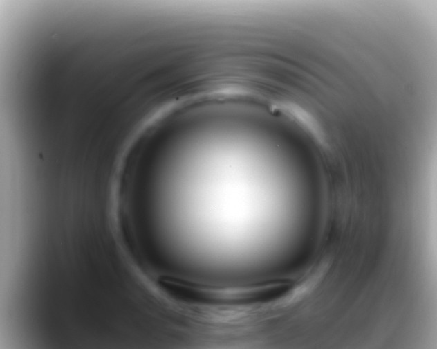 X0000088661134200706011235