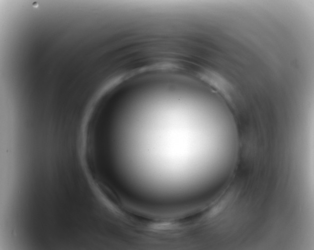 X0000088661135200706011235