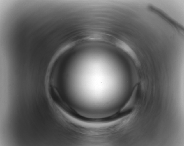 X0000088661138200706011235