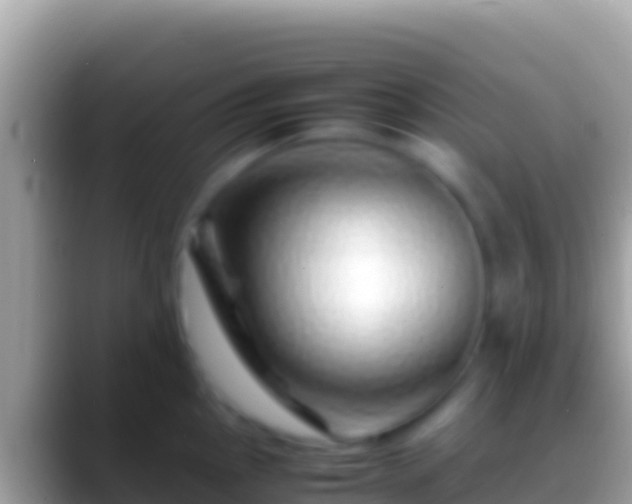 X0000088661145200706011235