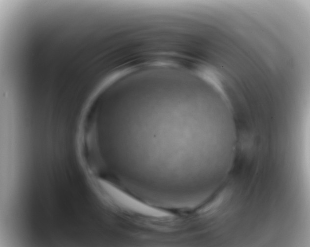 X0000088661147200706011235