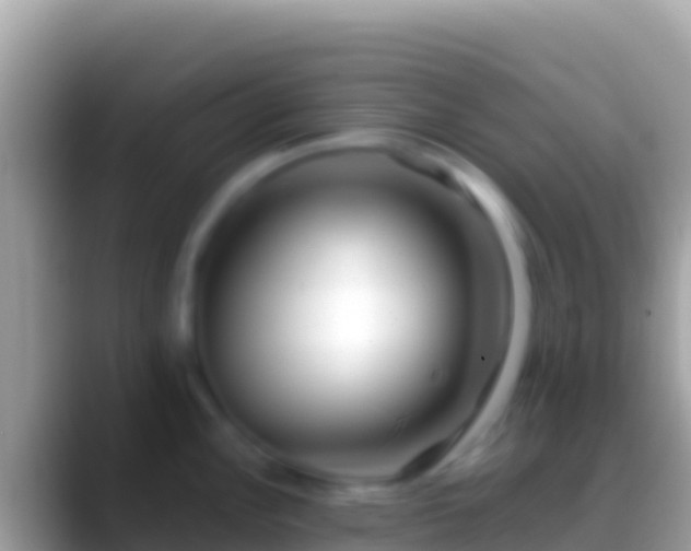 X0000088661148200706011235