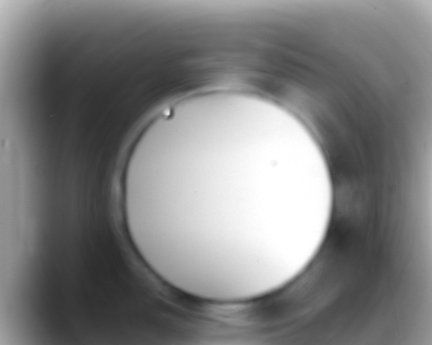 X0000088661150200706011235