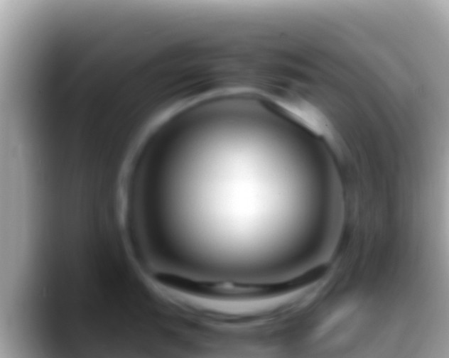 X0000088661151200706011235