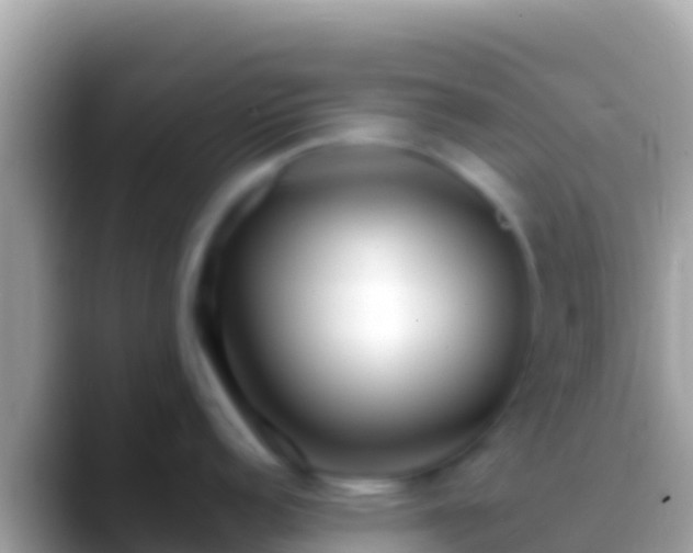 X0000088661152200706011235